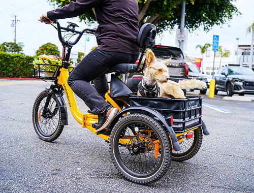 ONEBIKE GLIDE E-TRIKE