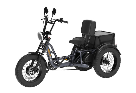 Meet One Tour Dual Motor Dual Battery Electric Trike