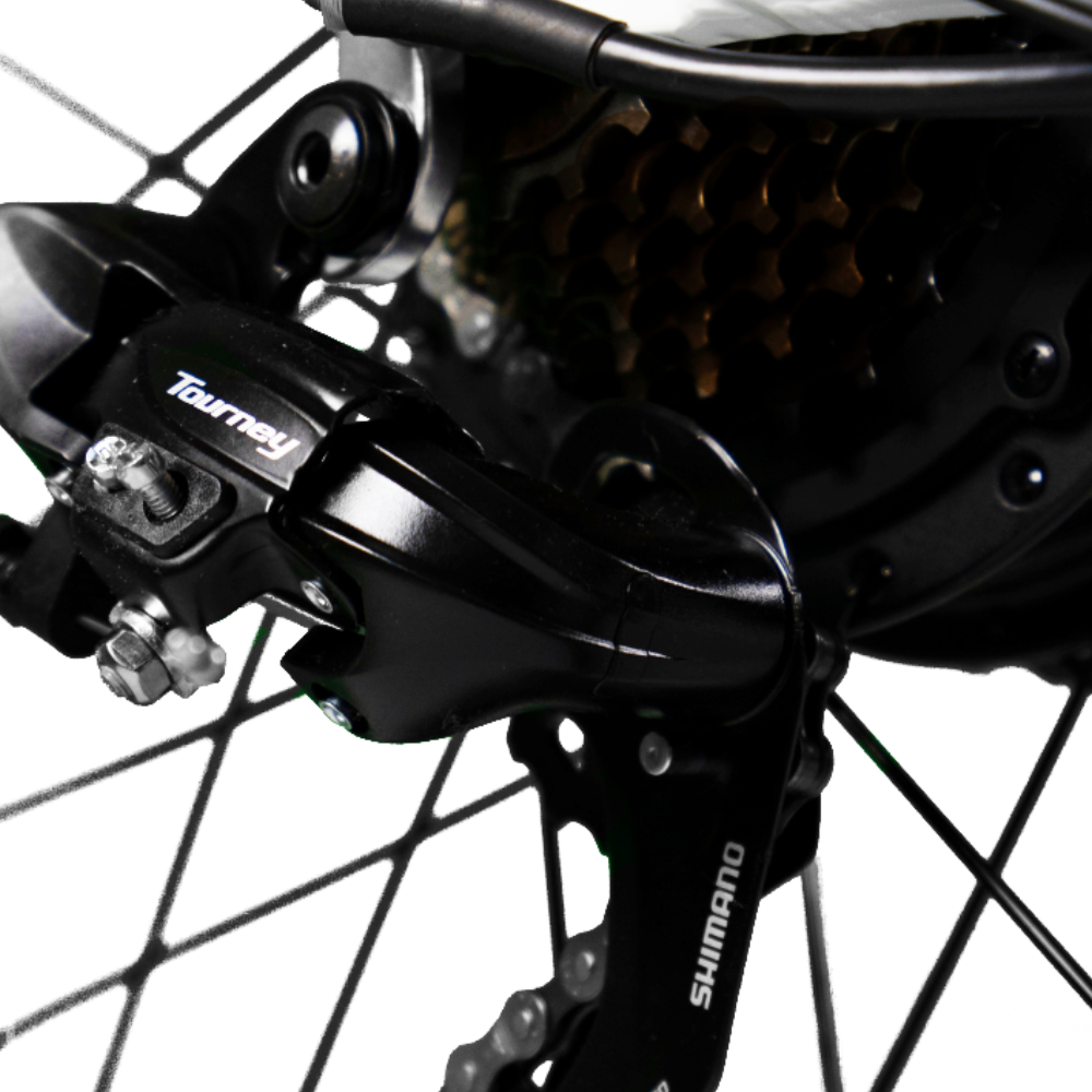 Aventon PLUS Step-Thru E-Bike