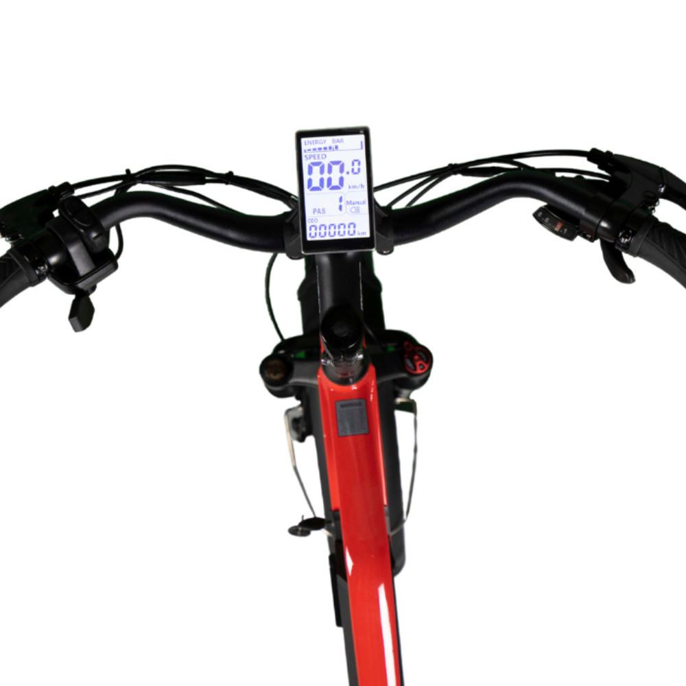 TERRA All-Terrain Cargo E-Bike