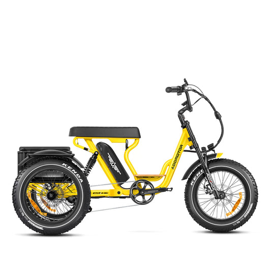 ADDMOTOR Soletri M-366X Full-Suspension eTrike