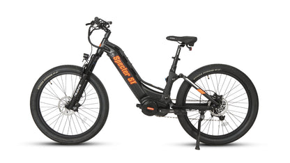 FS124-ST 2024 Electric Mountain Bike