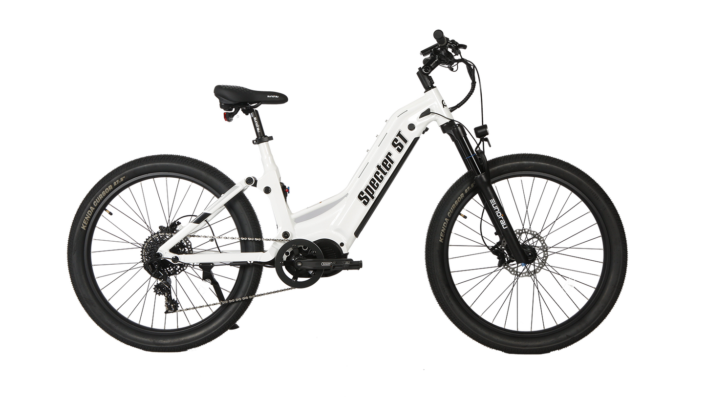 FS124-ST 2024 Electric Mountain Bike