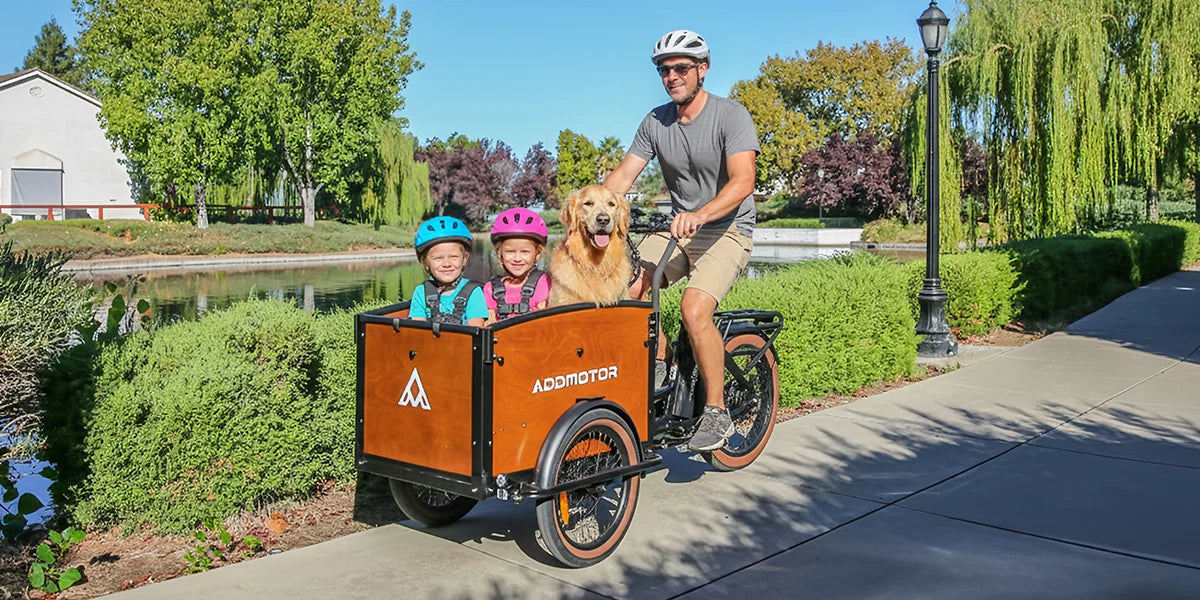 E-325 Electric Cargo Bike