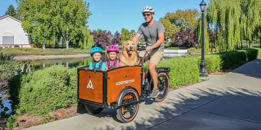 E-325 Electric Cargo Bike