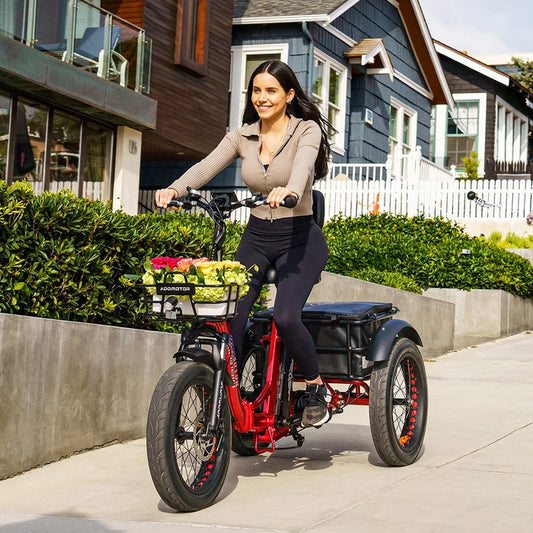 Addmotor Triketan M-330F Folding Electric Trike