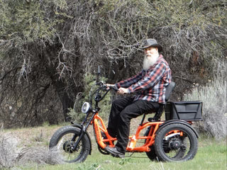 Meet One Tour Lite 2.0 Full Suspension Electric Trike