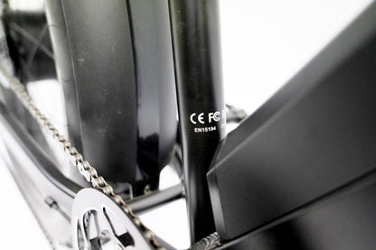 ONEBIKE FAT E-BIKE