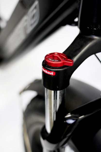 ONEBIKE FAT E-BIKE