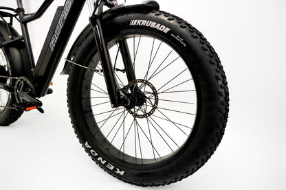 ONEBIKE FAT E-BIKE