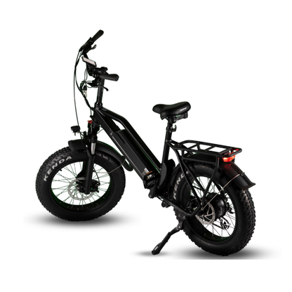 TERRA All-Terrain Cargo E-Bike