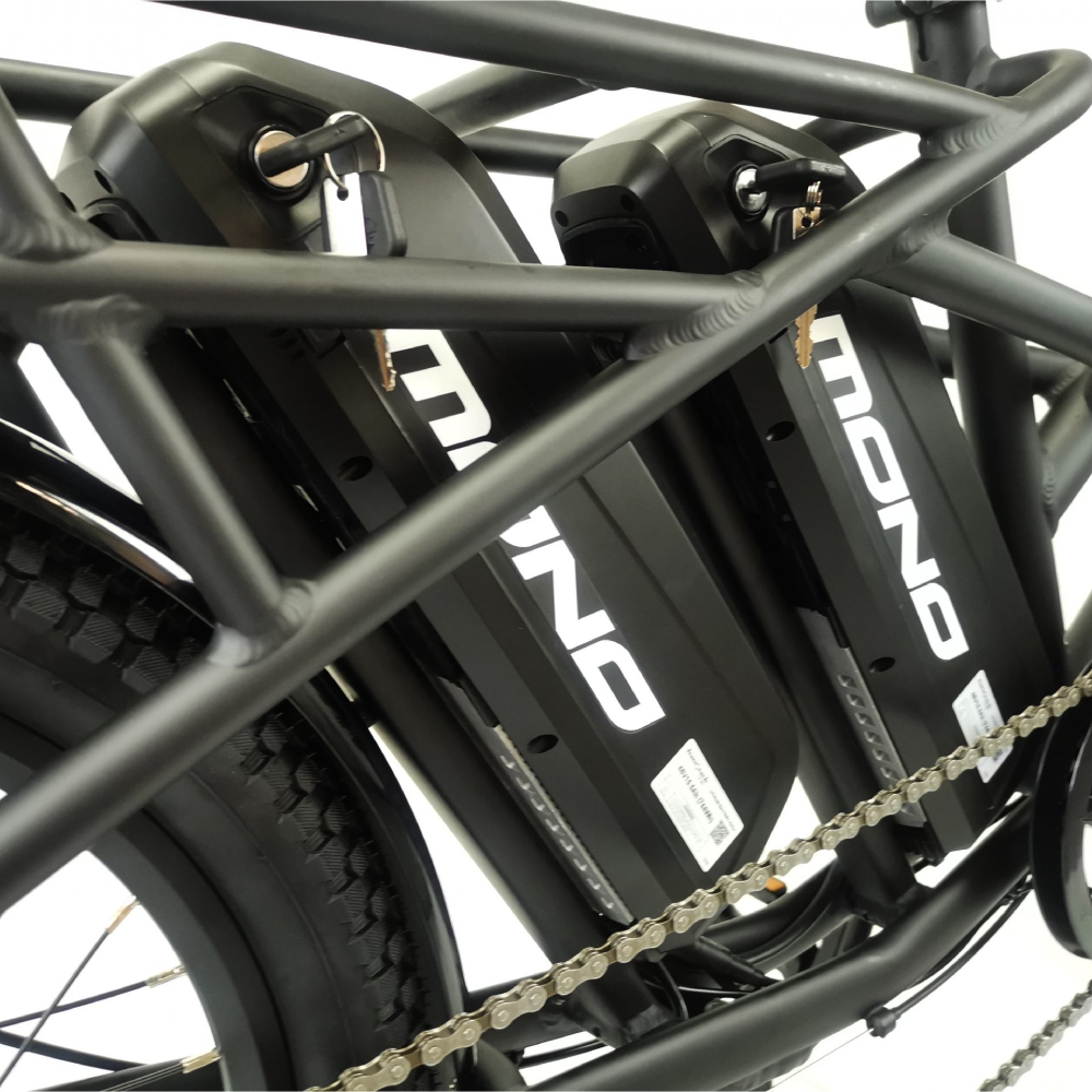 Mercury E-Cargo Electric Bike
