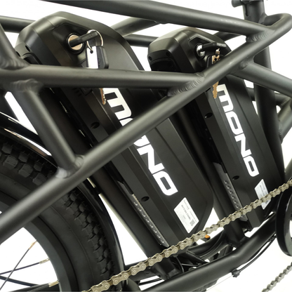 Mercury E-Cargo Electric Bike
