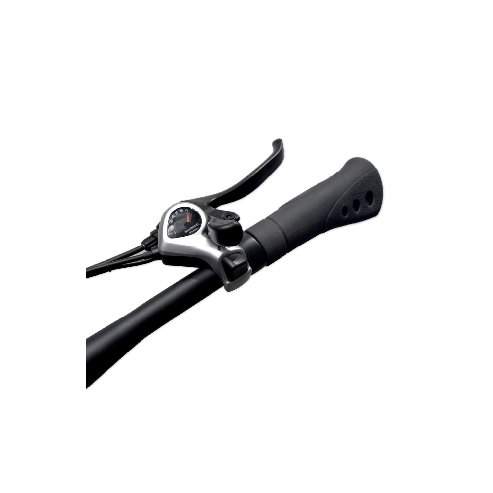 Trojan Electric Mountain Bike