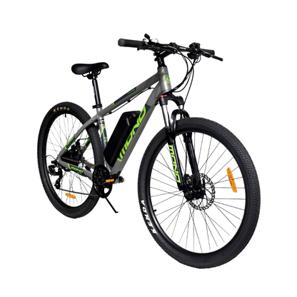 Trojan Electric Mountain Bike