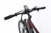 Elmax Commuter LCD Display on Electric Bike